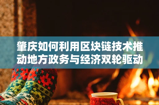 肇庆如何利用区块链技术推动地方政务与经济双轮驱动？