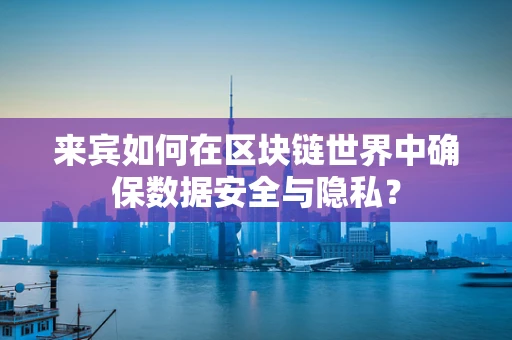 来宾如何在区块链世界中确保数据安全与隐私？