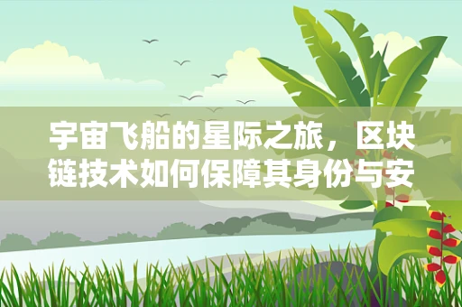 宇宙飞船的星际之旅，区块链技术如何保障其身份与安全？