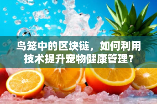 鸟笼中的区块链，如何利用技术提升宠物健康管理？