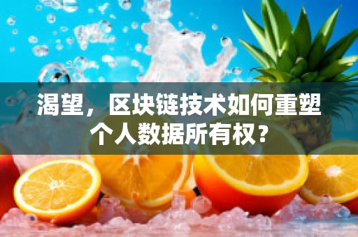 渴望，区块链技术如何重塑个人数据所有权？