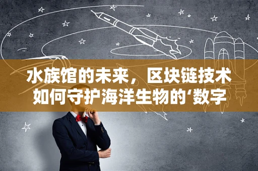 水族馆的未来，区块链技术如何守护海洋生物的‘数字家园’？