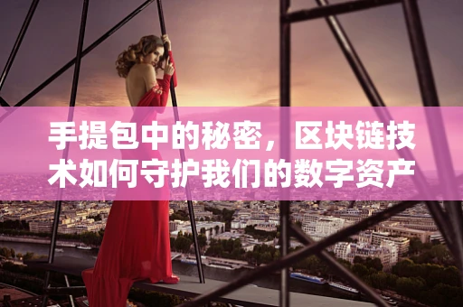 手提包中的秘密，区块链技术如何守护我们的数字资产？