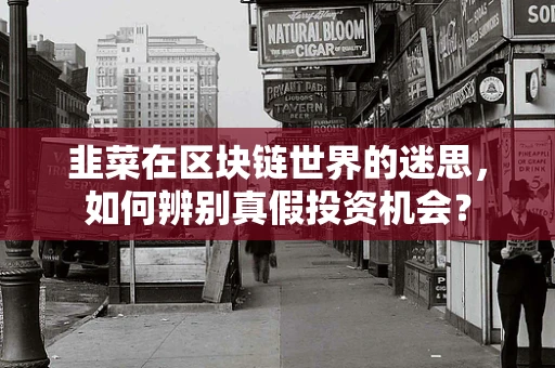 韭菜在区块链世界的迷思，如何辨别真假投资机会？