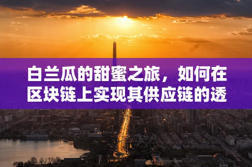 白兰瓜的甜蜜之旅，如何在区块链上实现其供应链的透明与安全？