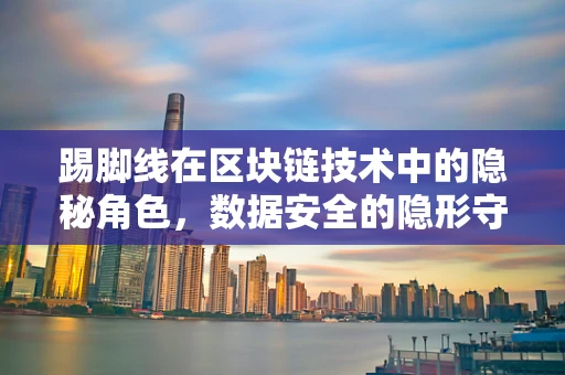 踢脚线在区块链技术中的隐秘角色，数据安全的隐形守护者？