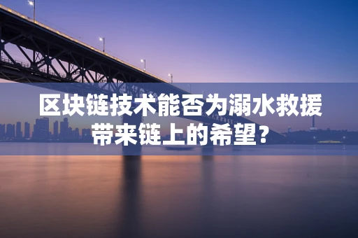 区块链技术能否为溺水救援带来链上的希望？