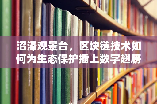 沼泽观景台，区块链技术如何为生态保护插上数字翅膀？