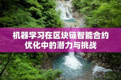 机器学习在区块链智能合约优化中的潜力与挑战