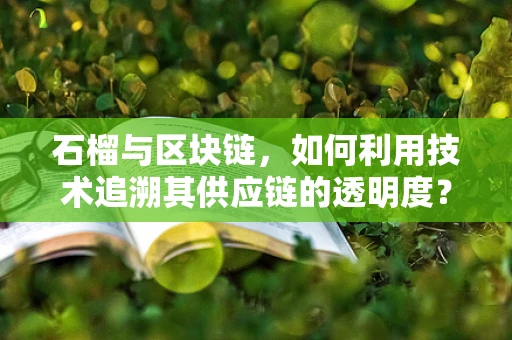 石榴与区块链，如何利用技术追溯其供应链的透明度？