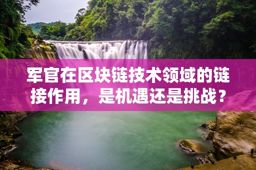 军官在区块链技术领域的链接作用，是机遇还是挑战？