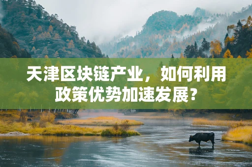 天津区块链产业，如何利用政策优势加速发展？