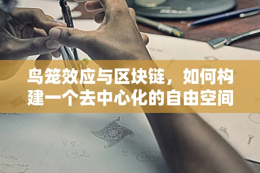 鸟笼效应与区块链，如何构建一个去中心化的自由空间？