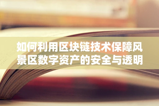 如何利用区块链技术保障风景区数字资产的安全与透明？