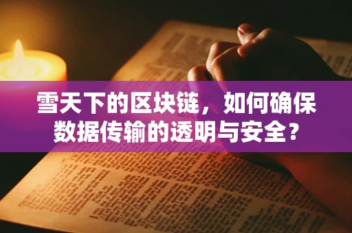 雪天下的区块链，如何确保数据传输的透明与安全？