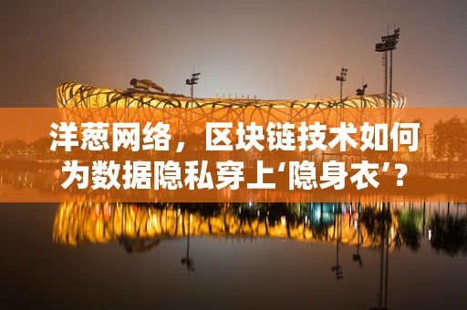 洋葱网络，区块链技术如何为数据隐私穿上‘隐身衣’？