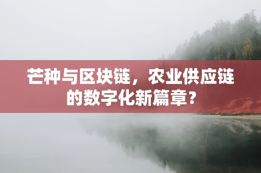 芒种与区块链，农业供应链的数字化新篇章？