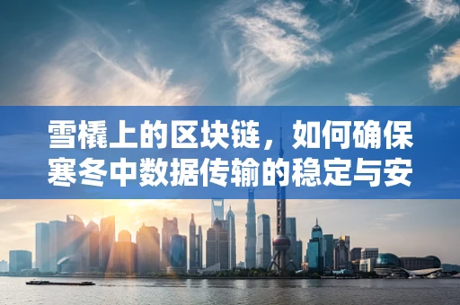 雪橇上的区块链，如何确保寒冬中数据传输的稳定与安全？
