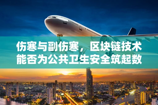伤寒与副伤寒，区块链技术能否为公共卫生安全筑起数字防线？