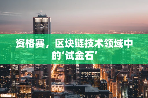 资格赛，区块链技术领域中的‘试金石’