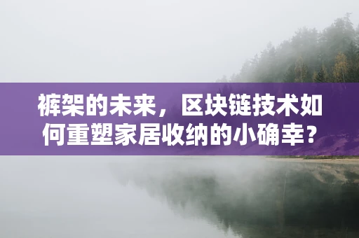 裤架的未来，区块链技术如何重塑家居收纳的小确幸？