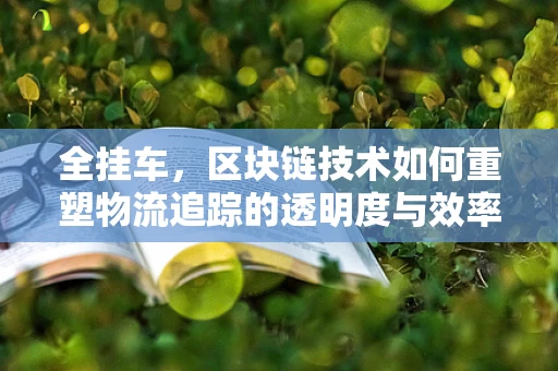全挂车，区块链技术如何重塑物流追踪的透明度与效率？
