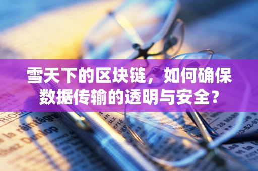 雪天下的区块链，如何确保数据传输的透明与安全？