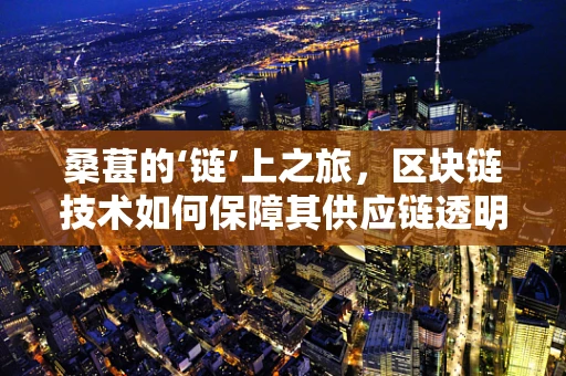 桑葚的‘链’上之旅，区块链技术如何保障其供应链透明与安全？