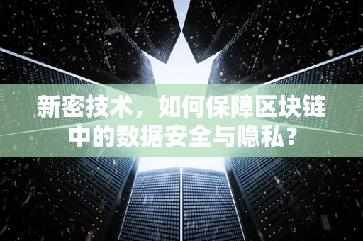新密技术，如何保障区块链中的数据安全与隐私？