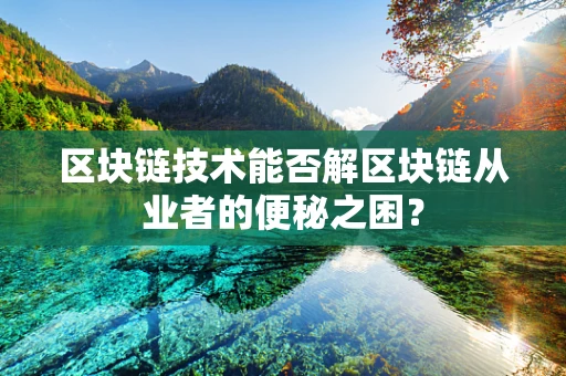 区块链技术能否解区块链从业者的便秘之困？