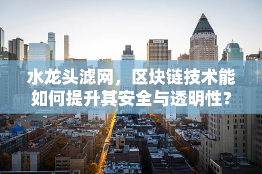 水龙头滤网，区块链技术能如何提升其安全与透明性？