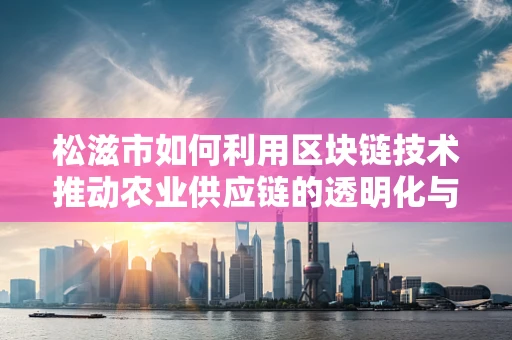 松滋市如何利用区块链技术推动农业供应链的透明化与效率提升？