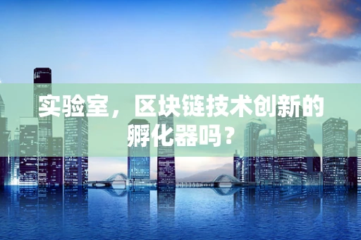 实验室，区块链技术创新的孵化器吗？