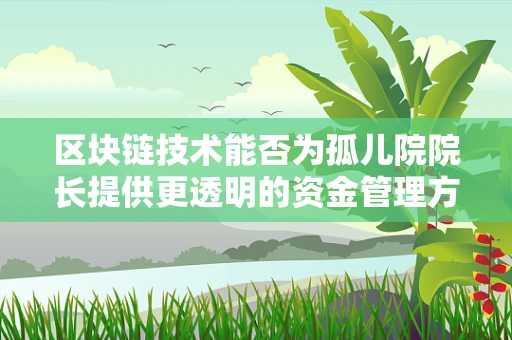 区块链技术能否为孤儿院院长提供更透明的资金管理方案？