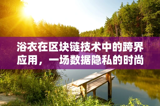 浴衣在区块链技术中的跨界应用，一场数据隐私的时尚革命？