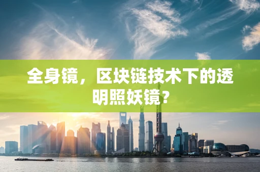 全身镜，区块链技术下的透明照妖镜？