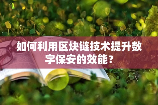 如何利用区块链技术提升数字保安的效能？