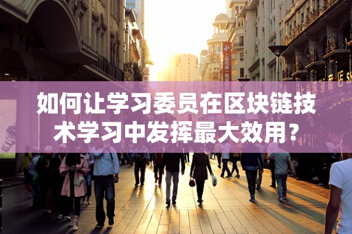 如何让学习委员在区块链技术学习中发挥最大效用？