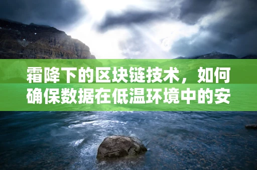 霜降下的区块链技术，如何确保数据在低温环境中的安全与稳定？