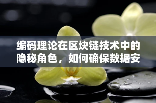 编码理论在区块链技术中的隐秘角色，如何确保数据安全与完整？