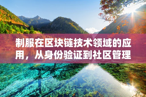 制服在区块链技术领域的应用，从身份验证到社区管理的创新实践？