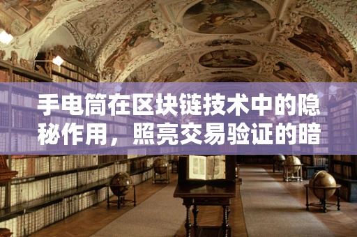 手电筒在区块链技术中的隐秘作用，照亮交易验证的暗区？