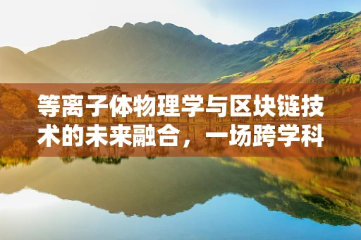 等离子体物理学与区块链技术的未来融合，一场跨学科的探索之旅？