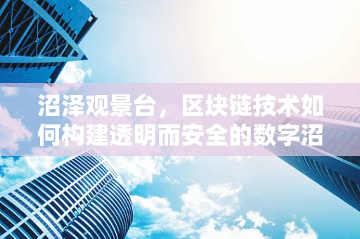 沼泽观景台，区块链技术如何构建透明而安全的数字沼泽？