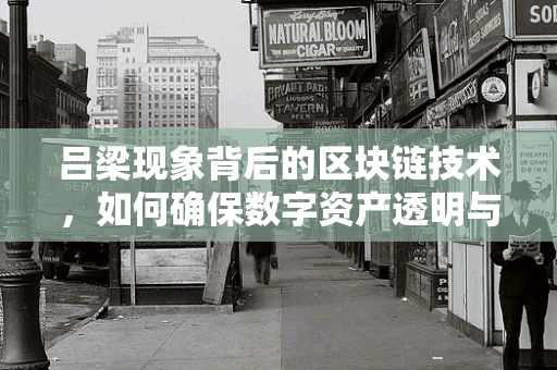 吕梁现象背后的区块链技术，如何确保数字资产透明与安全？