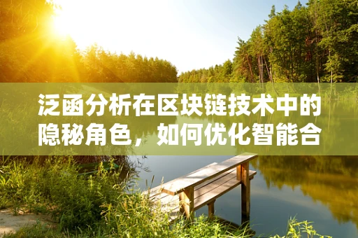 泛函分析在区块链技术中的隐秘角色，如何优化智能合约的稳定性和效率？