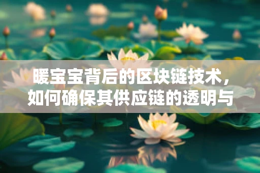 暖宝宝背后的区块链技术，如何确保其供应链的透明与安全？