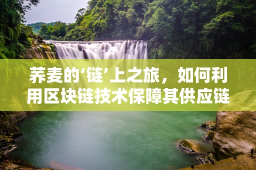 荞麦的‘链’上之旅，如何利用区块链技术保障其供应链透明与安全？