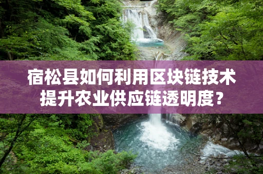 宿松县如何利用区块链技术提升农业供应链透明度？