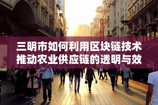 三明市如何利用区块链技术推动农业供应链的透明与效率？